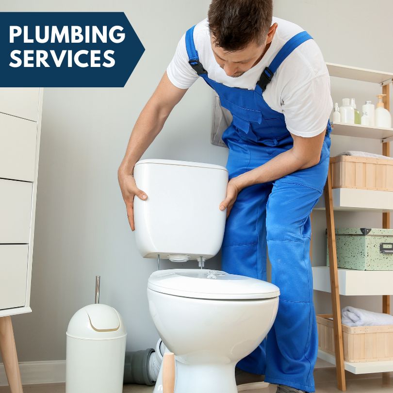 Plumbing Company in Port Richey, FL